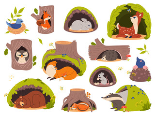 Animals in holes and burrows. Cartoon forest creatures inside hollows and nests, woodland fauna in their homes, sleeping bear in den, bird, funny squirrel and hare, vector isolated set
