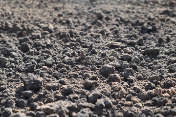 Ground surface. Close up natural background. Soil texture background.