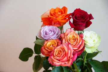 色とりどりのバラ