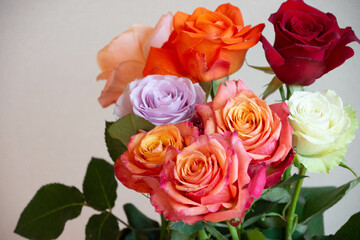 色とりどりのバラ