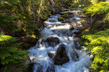 waterfall in the forest