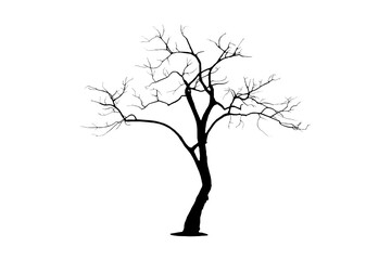 Silhouette of a large leafless tree, isolated on a transparent background, png file.
