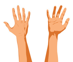 Hand right hand drawing vector style