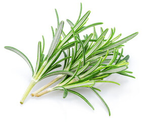 Green fresh rosemary twig isolated on white background.