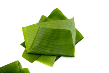 Green leaves of banana tree