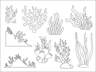 Line art of coral reefs and seaweed