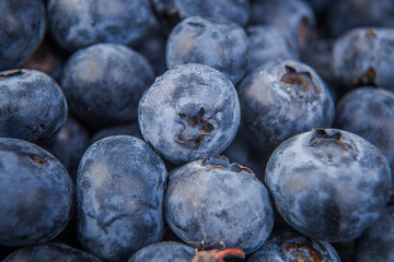 Blueberry fruit, fresh and healthy food