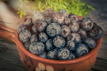 Blueberry fruit, fresh and healthy food