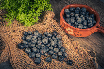 Blueberry fruit, fresh and healthy food