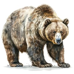 Fototapeta premium Ultra realistic watercolor style illustration of beautiful bear, high detailed, isolated on white