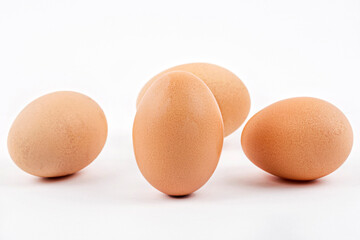 eggs on a white background