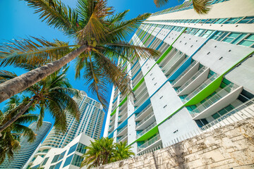 Skyscrapers and palm trees under a blue sky in downtown Miami.