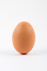 egg on a white background