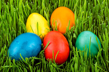 Easter eggs in the grass