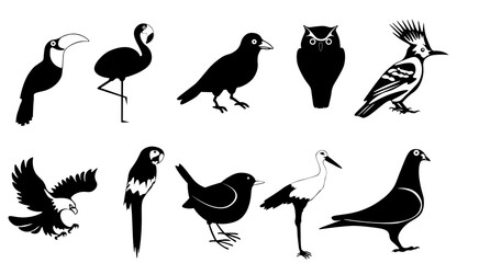 10 bird icons set on the white background