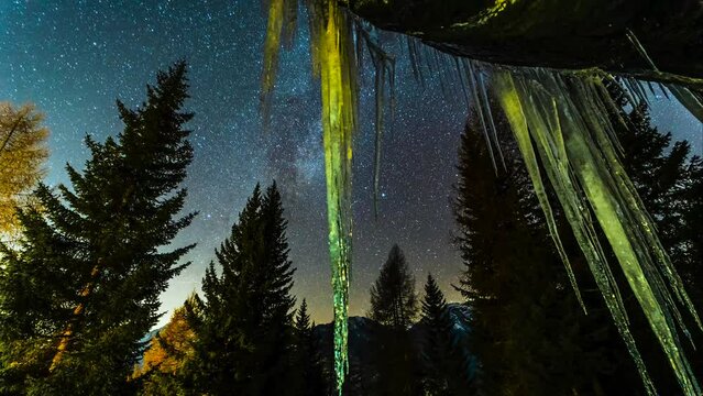 Time lapse of starry night sky with pine trees and icicles in foreground | Alps, Italy - Valmalenco