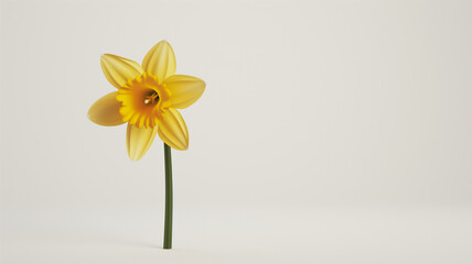 Single yellow daffodil with green stem set against a plain white background, showcasing its delicate petals.