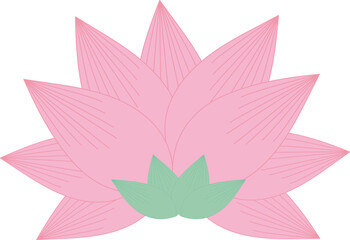 연꽃