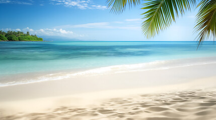 beach with palm trees