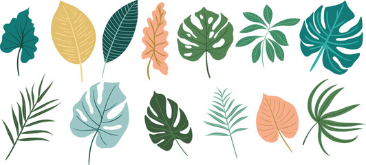 Abstract color leaves isolated on white collection. Tropical leaves set. Hand drawn vintage illustration.