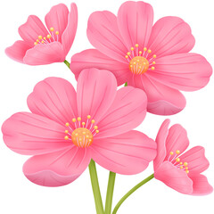 pink flowers