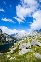 Summer landscape in Vall de Boi in Aiguestortes and Sant Maurici National Park, Spain
