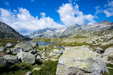 Summer landscape in Vall de Boi in Aiguestortes and Sant Maurici National Park, Spain