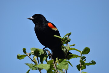 Marais Kingsubry 25 Mai 2024