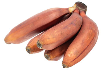 bananas with brown peel on white background.