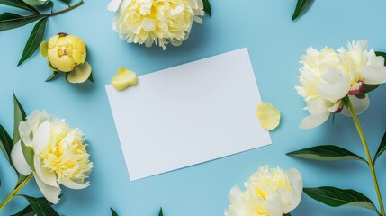 Blank white paper card and yellow peony flowers isolated on the blue light background. Invitation background copy space concept