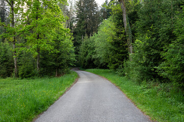 Road through the forest, bicycle route in the lands of Bavaria