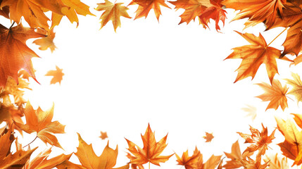 Autumn leaves frame with vibrant colors showcasing beautiful fall foliage, perfect for seasonal backgrounds, decorations, and nature-themed designs. isolated on transparent background.