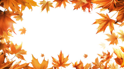 Autumn leaves frame with vibrant colors showcasing beautiful fall foliage, perfect for seasonal backgrounds, decorations, and nature-themed designs.  isolated on transparent background.