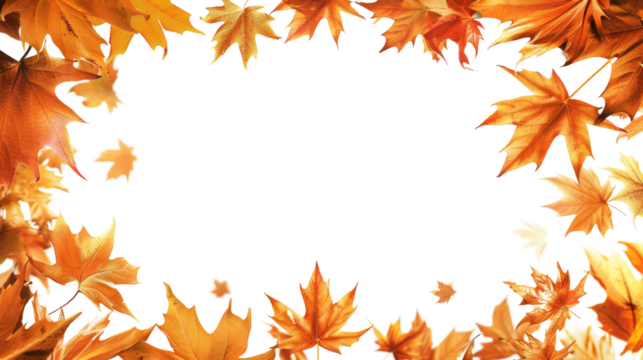 Autumn leaves frame with vibrant colors showcasing beautiful fall foliage, perfect for seasonal backgrounds, decorations, and nature-themed designs.  isolated on transparent background.