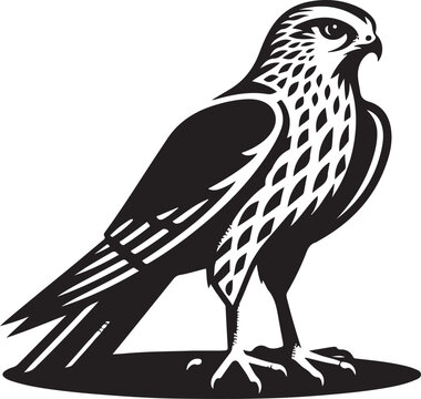 recommend clip art: harrier eagle vector Art Illustration