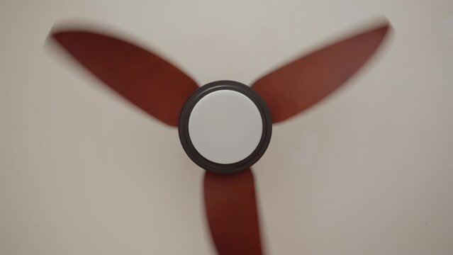 Modern ceiling fan with wooden blades spinning, view from below