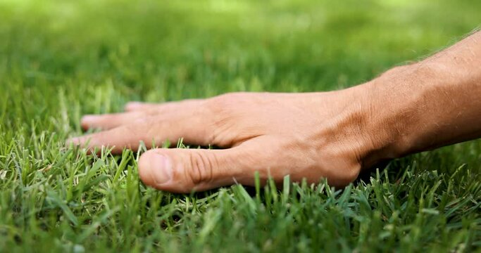hand sliding over perfect green grass. lawn care