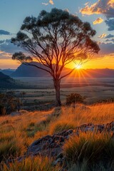 The sun setting behind a solitary tree on a rocky landscape with golden hues and a mountainous background