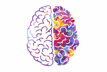 Watercolor brain, left and right hemispheres. Vector illustration