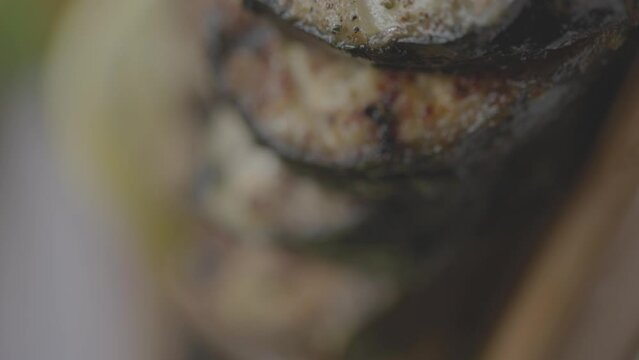 Super-closeup footage of the pieces of fried cod fish, with blur background