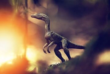 The lands before time.  © David