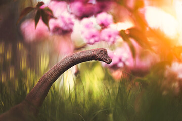 The lands before time.  © David