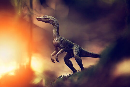 The lands before time. 