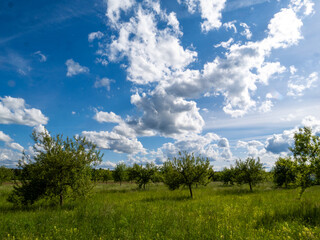Landscape of a meadow orchard near Brunnthal south of Munich.