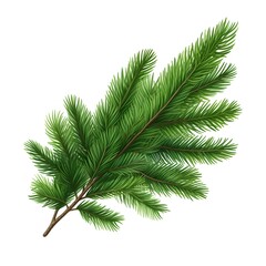 Spruce branch. Green fir. Realistic Christmas tree. Generative AI.