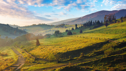 rural landscape in carpathian mountains of ukraine. alpine countryside scenery with grassy meadows...