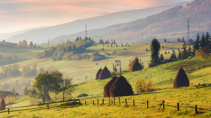 rural landscape in carpathian mountains of ukraine. alpine countryside scenery with grassy meadows and forested rolling hills in autumn. beautiful view of haystacks near borzhava ridge on a foggy day