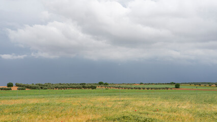 Naklejka premium Photograph of a field with green grass and in the background a threatening black stormy sky