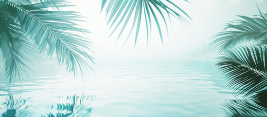 Fototapeta premium Banner, green nature background, tropical plant leaves, palm leaves and water, a light background. Copy space. 