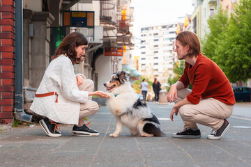 Side view of young couple training their Aussie dog. Pet gives paw to woman. Dog training and city...